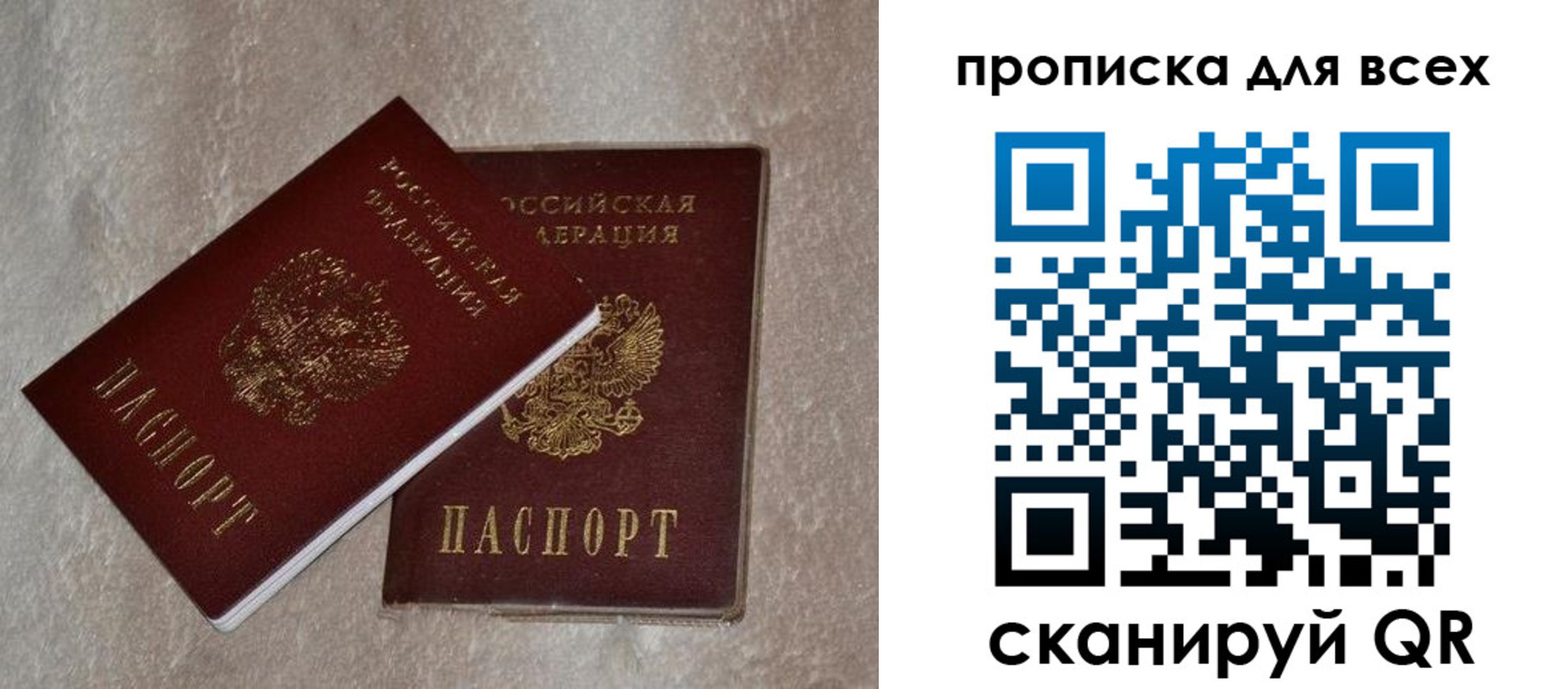 прописка в Владимире